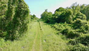 EMISSEN – Investment land for sale in Stupava with potential for the construction of 3 single-family homes